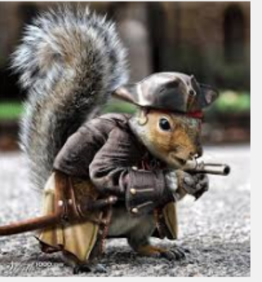 Tough Squirrel!